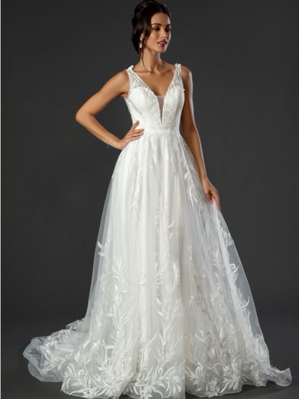 White Lace V-Neck Wedding Dress & Cathedral Veil